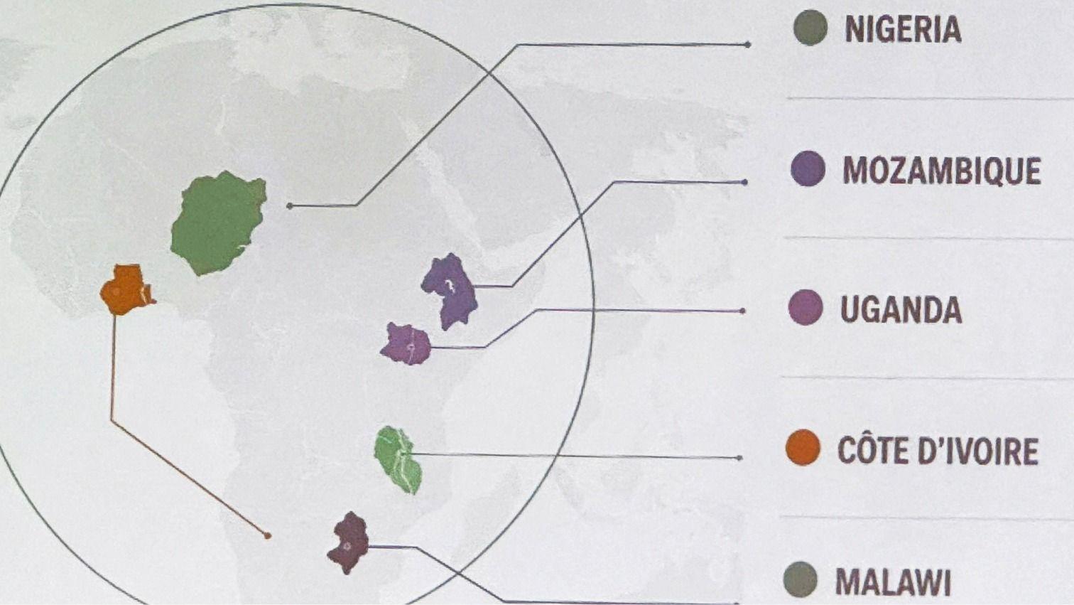US admits unfortunate error after mislabelling countries on map of Africa 