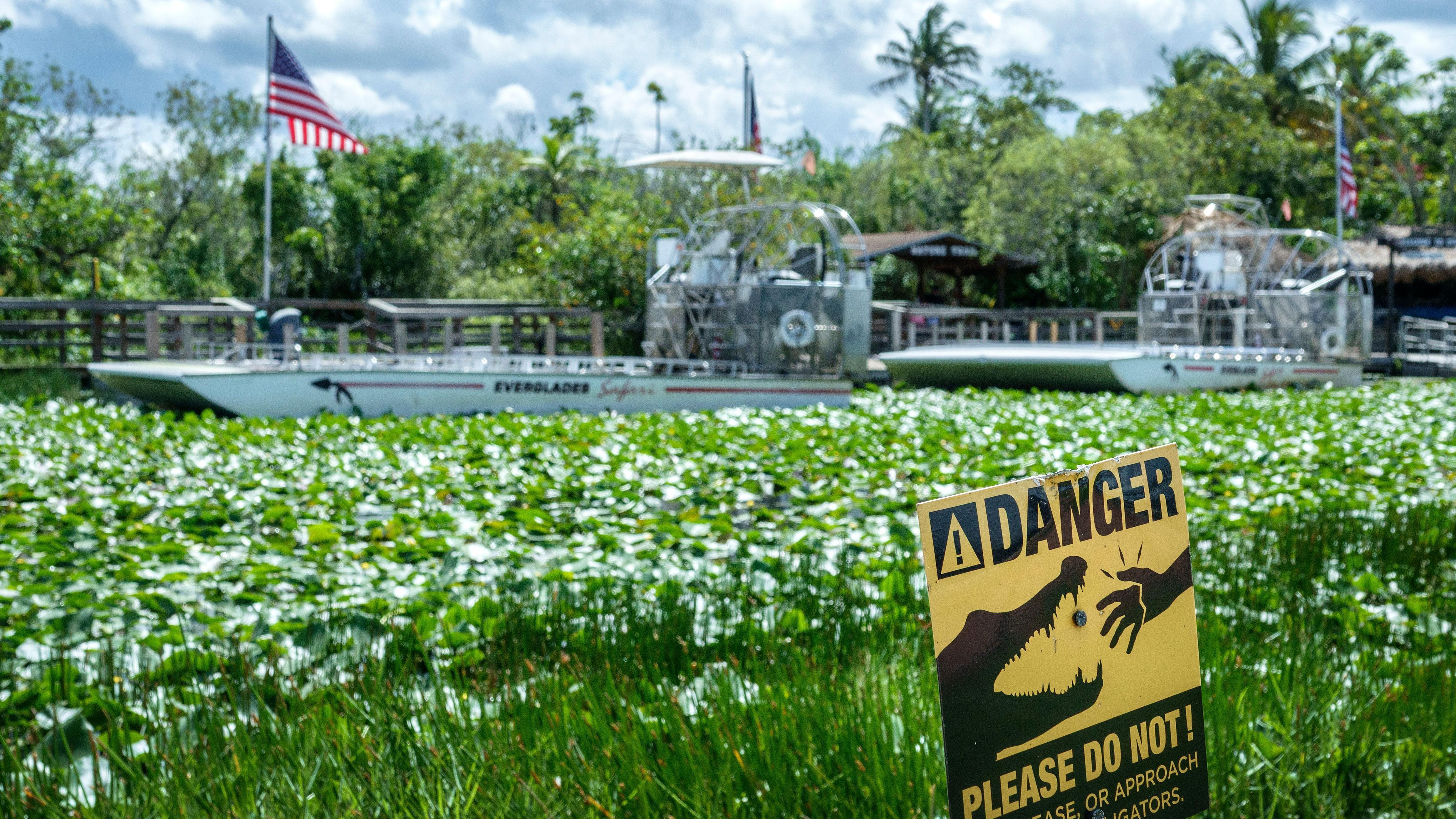 Imagen de los Everglades, se ve el humedal, mucha vegetación y un cartel que avisa del peligro de caimanes y se pide no alimentarlos.