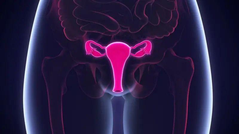materica, vagina, žene