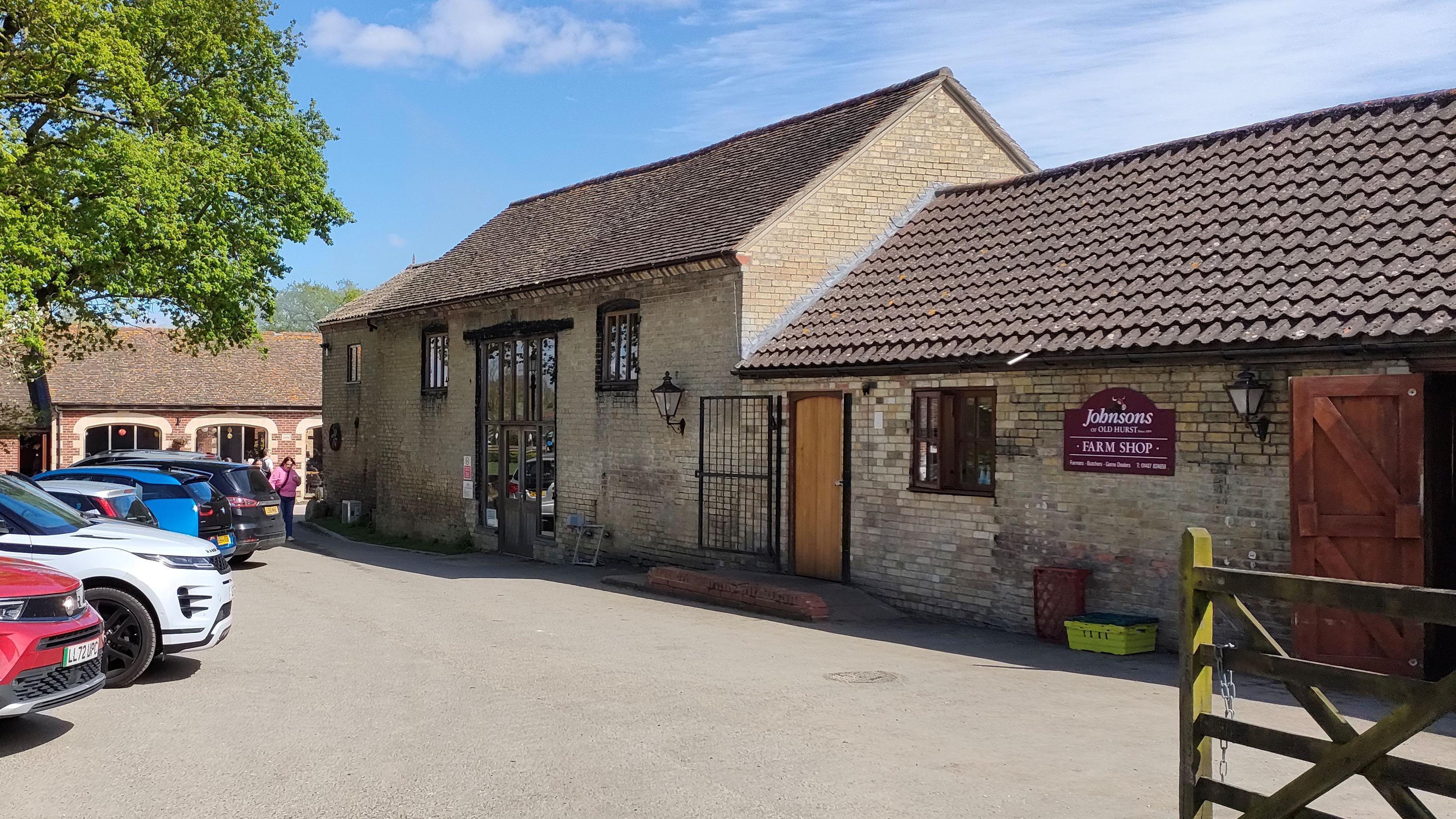 Man arrested after boy injured in zoo crocodile enclosure