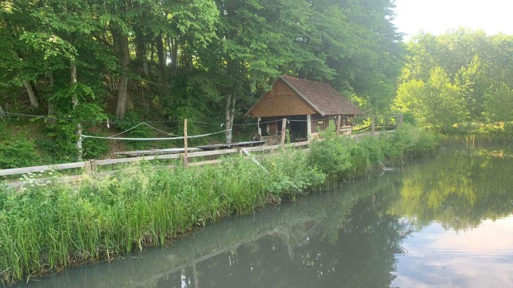 letnjikovac pored ribnjaka porodice Bajić