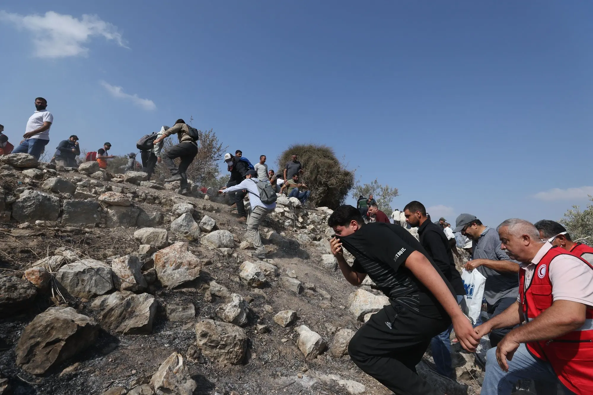                                     ɡ      ɡ 7 /  2025.    ɡ           .