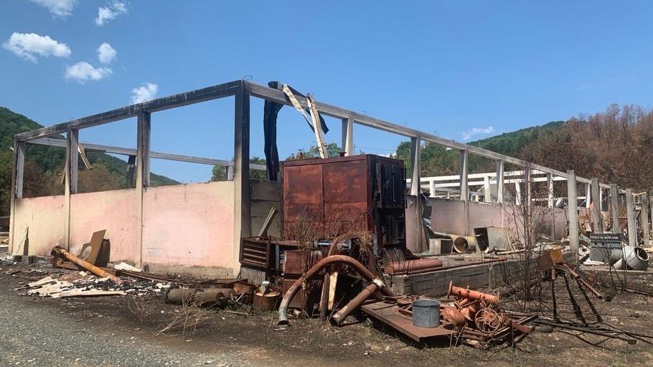 Ostaci fabrike drvne industrije u naselju Vlajna nadomak Kruševca