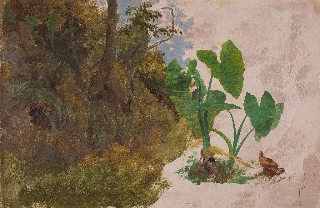 Pintura sin terminar de vegetación y planta separada
