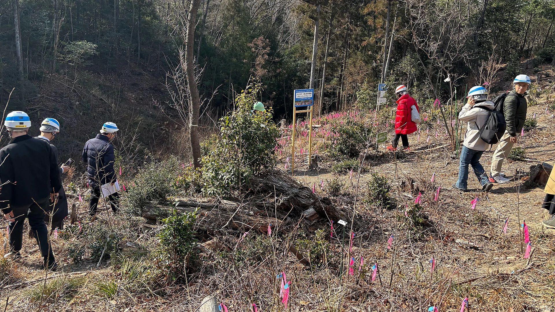 勘察人員在樹林中