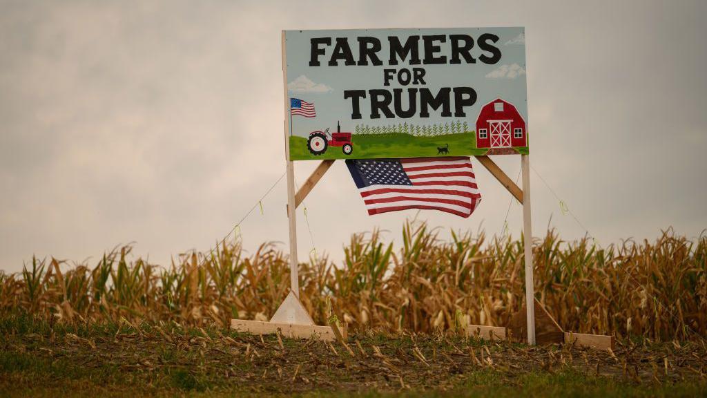 Placa com os dizeres 'Fazendeiros com Trump', com uma bandeira americana, em um campo de produção de milho. 