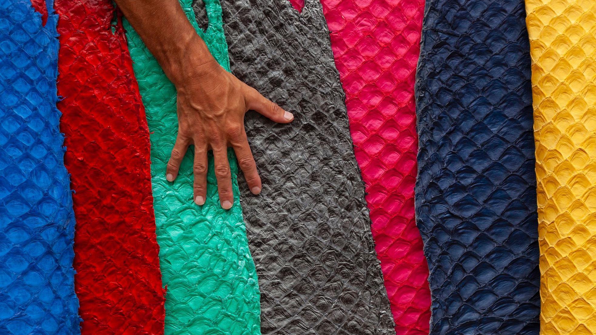 Una mano extendida sobre rollos de piel de pirarucu teñida de colores vivos: azul, rojo, verde, gris, rosa, azul oscuro y amarillo.