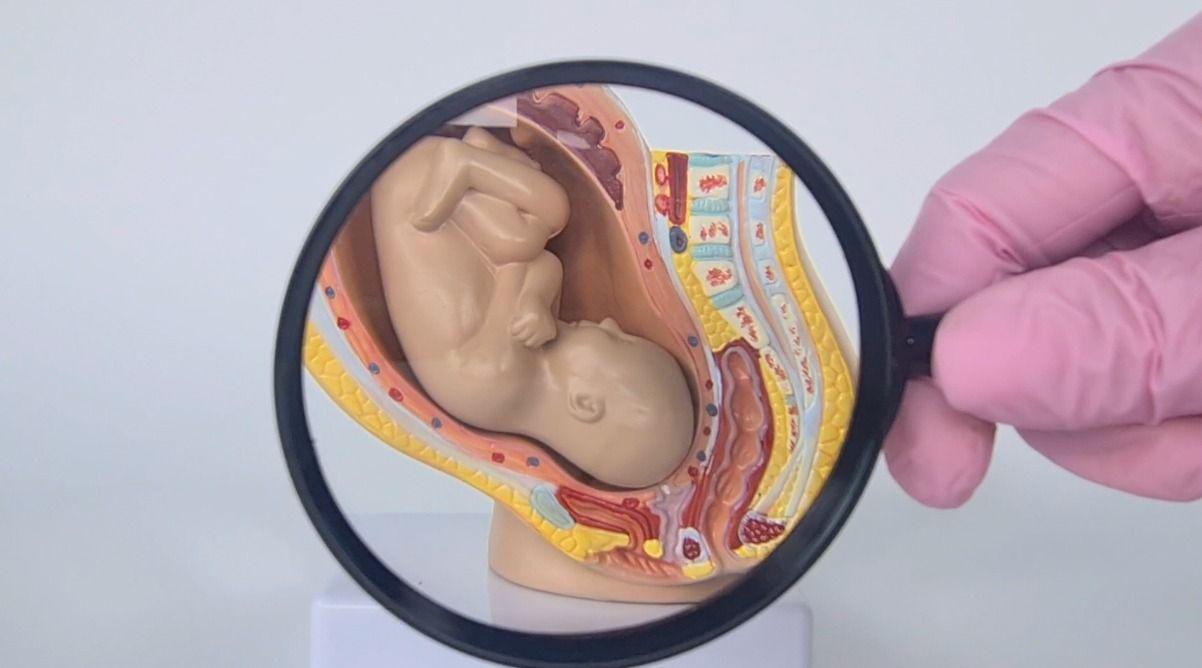 If the placenta is not functioning properly and the baby is not receiving an adequate supply of oxygen and nutrients, this is also considered a medical emergency.