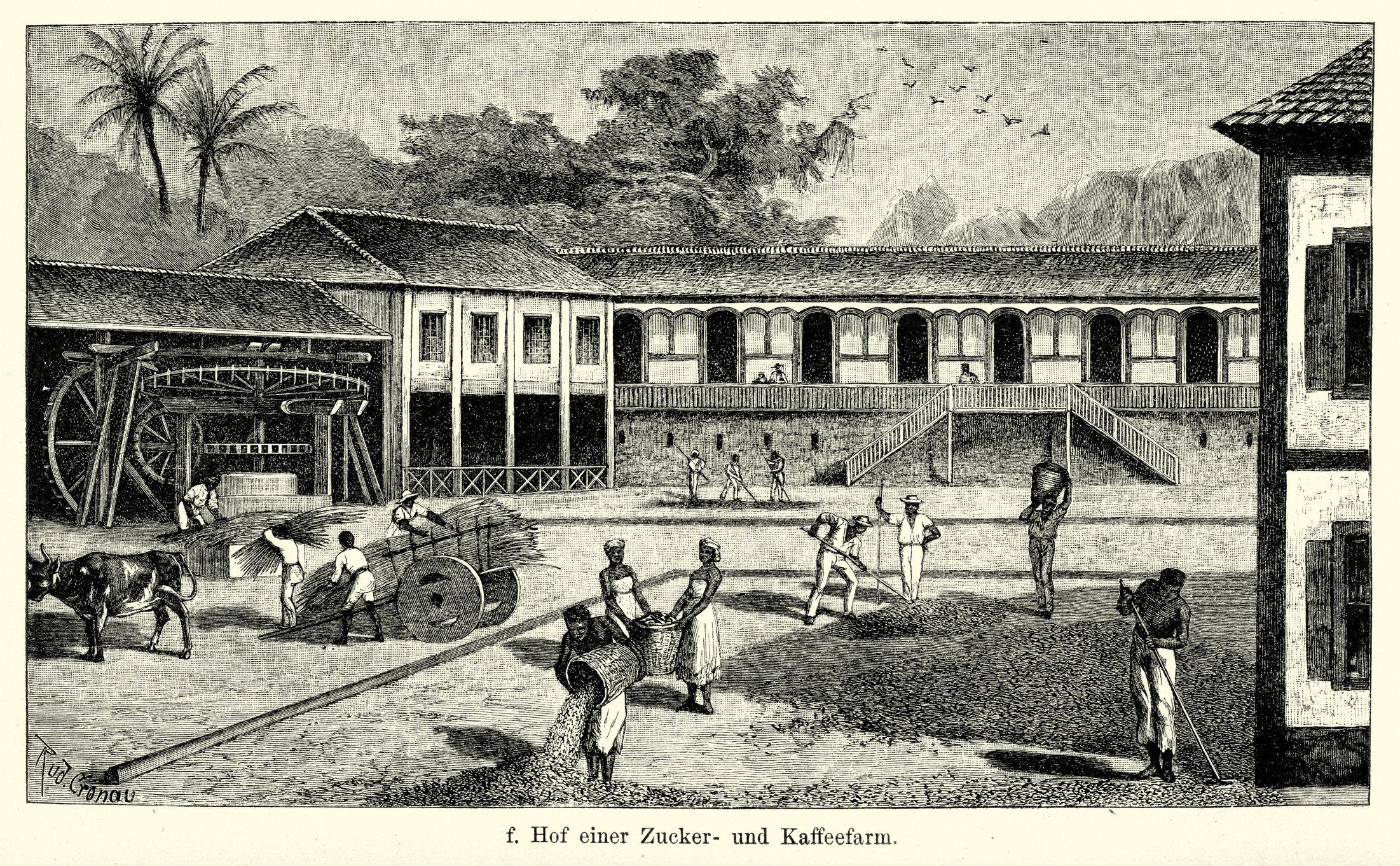 Dezenas de escravizados trabalham em várias etapas da produção agrícula, em pátio aberto, com casarão ao fundo