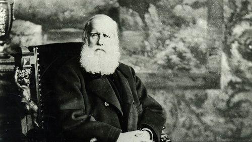 Retrato de D. Pedro 2º