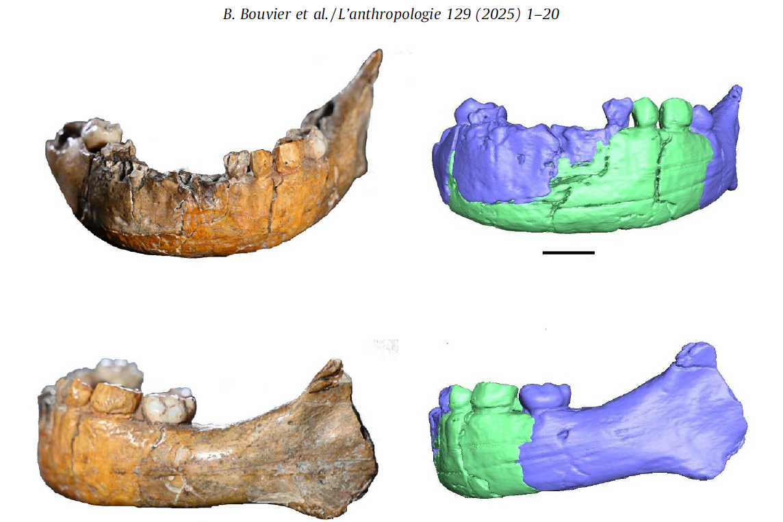 Imagem da mandíbula de Skhūl 1°