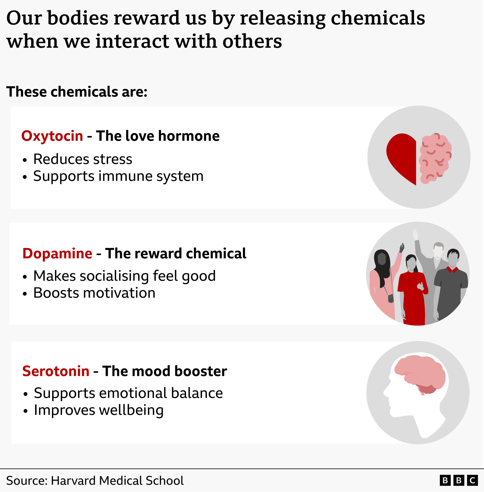 사람들이 사회적 교류를 할 때 분비되는 세 가지 화학물질을 보여주는 그래픽. 옥시토신은 사랑 호르몬으로 스트레스를 줄이고 면역 체계를 돕고, 도파민은 보상 화학물질로 사교 활동을 즐겁게 느끼게 하고 동기를 높인다. 또 세로토닌은 기분을 좋게 하는 물질로 감정의 균형을 돕고 전반적인 웰빙을 향상시킨다 