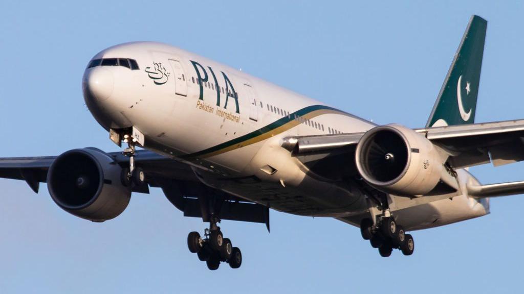 pia