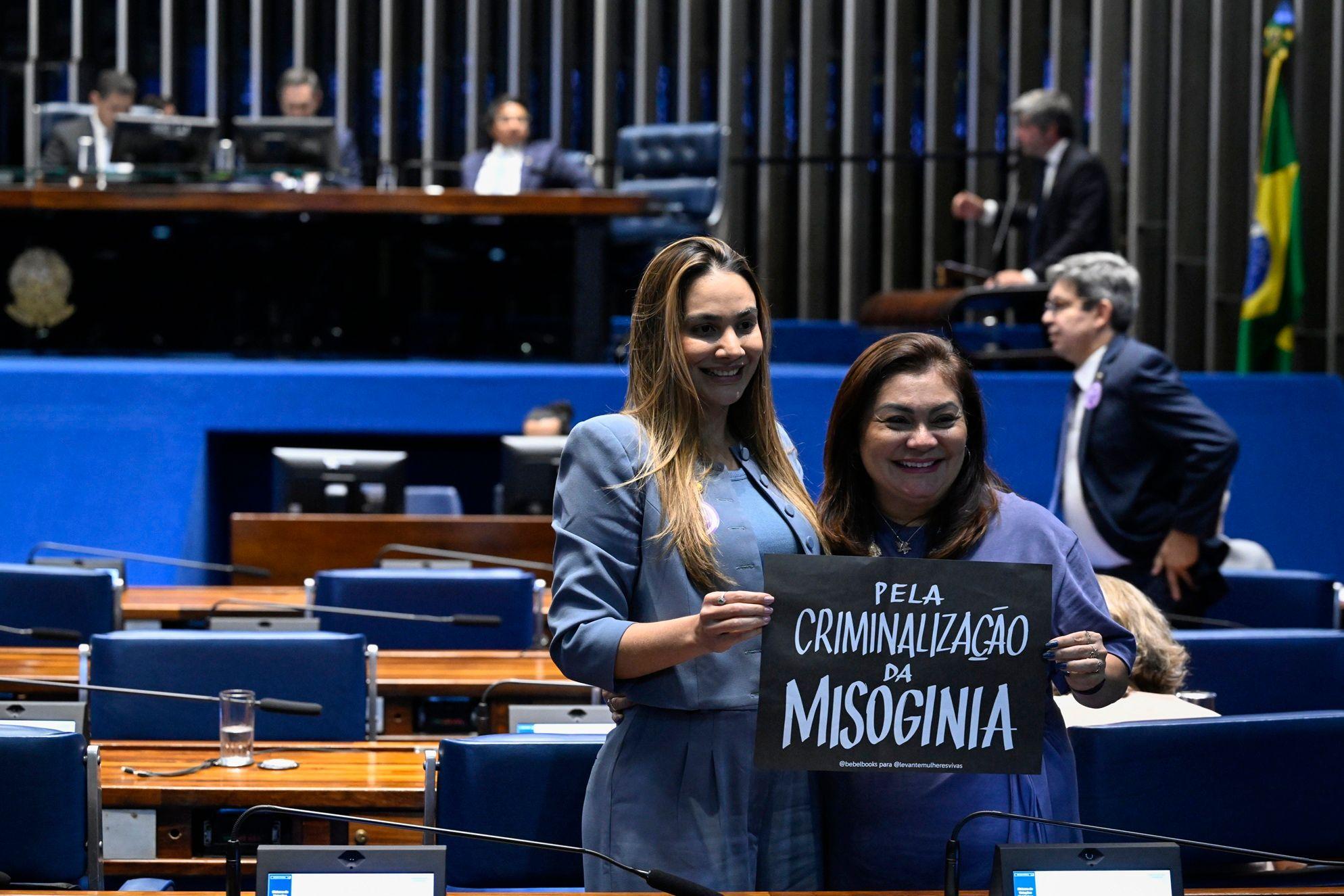 Autora do PL 896/2023, senadora Ana Paula Lobato (PSB-MA) posa para foto com cartaz que diz: 