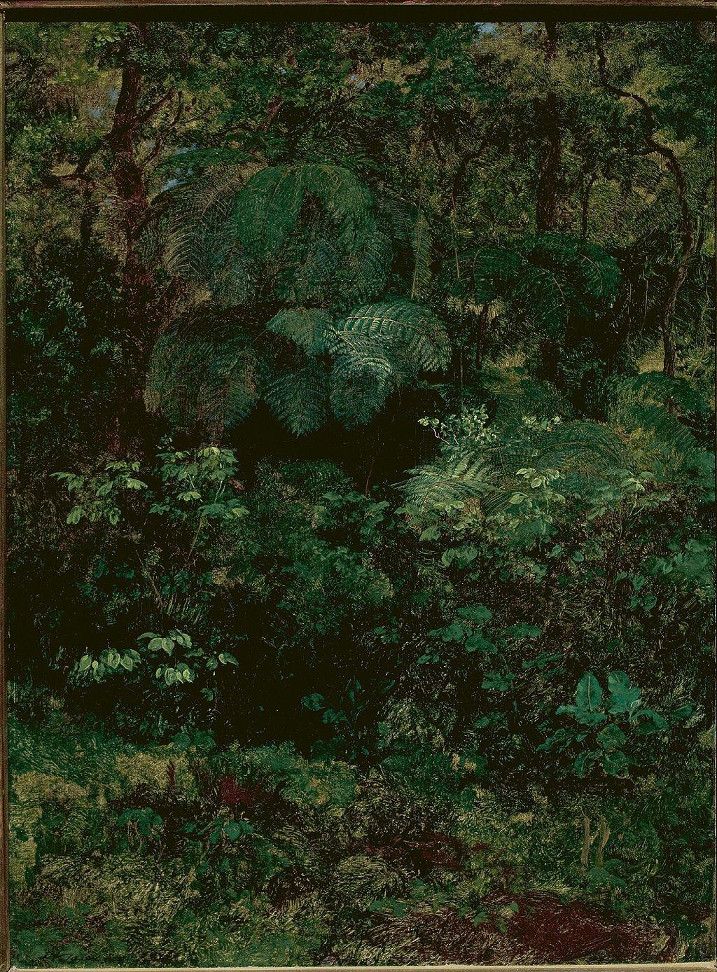 Vegetación exhuberantemente verde