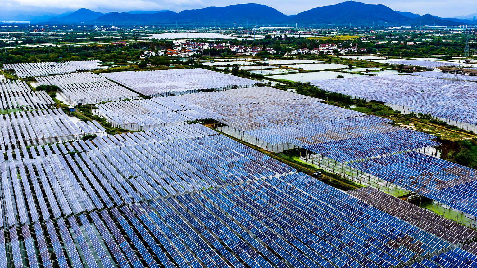 浙江湖州一處太陽能發電場上的大片光伏板（19/10/2025）