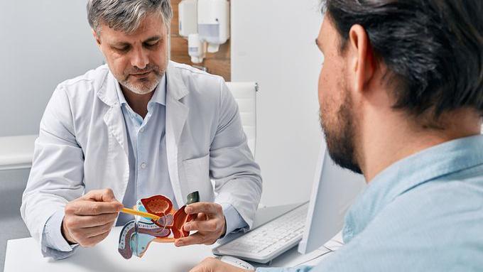Médico com modelo anatômico da próstata conversando com um paciente