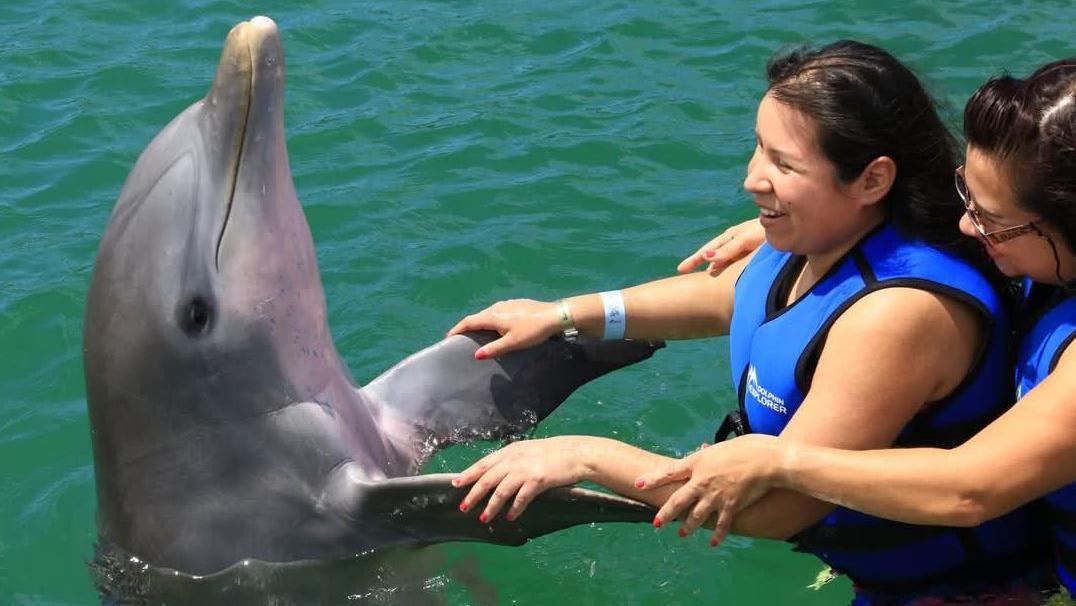 Jessica de pie en una piscina y sujetando las aletas de un delfín. Otra mujer la sostiene. 