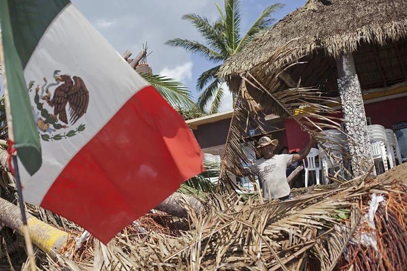 Bandeira do M&eacute;xico ao lado de &aacute;rvores ca&iacute;das 