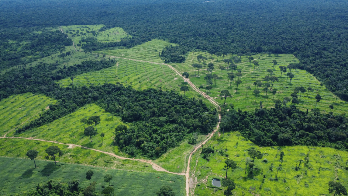 Foto a&eacute;rea mostra pastos verdes e &aacute;reas de floresta