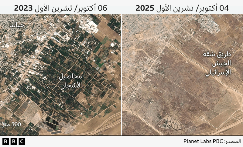 "أسوأ من البدء من الصفر": ما حجم مهمة إعادة إعمار غزة؟ 8 خرائط تبين أثر الحرب على قطاع الزراعة