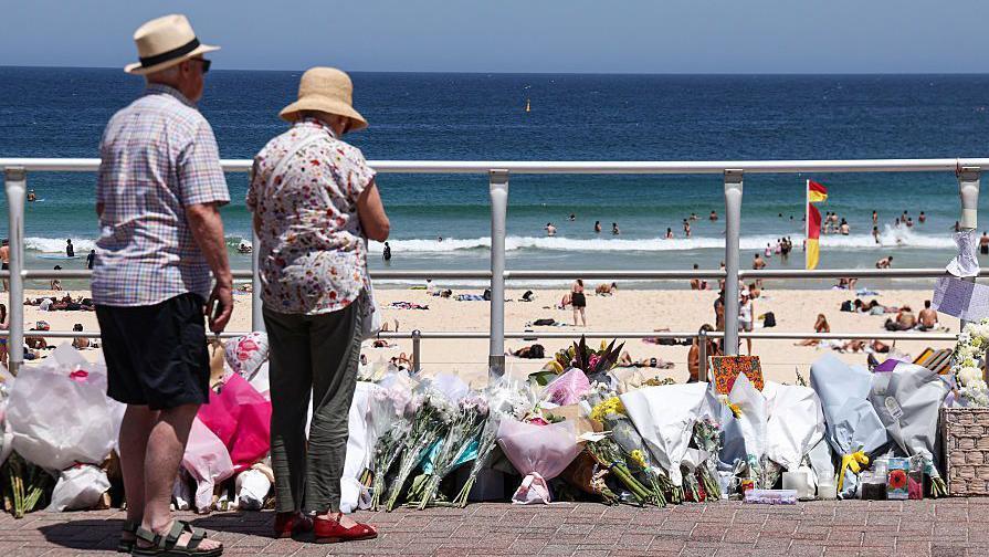 Royal commission into Bondi shooting says gun reform should be prioritised