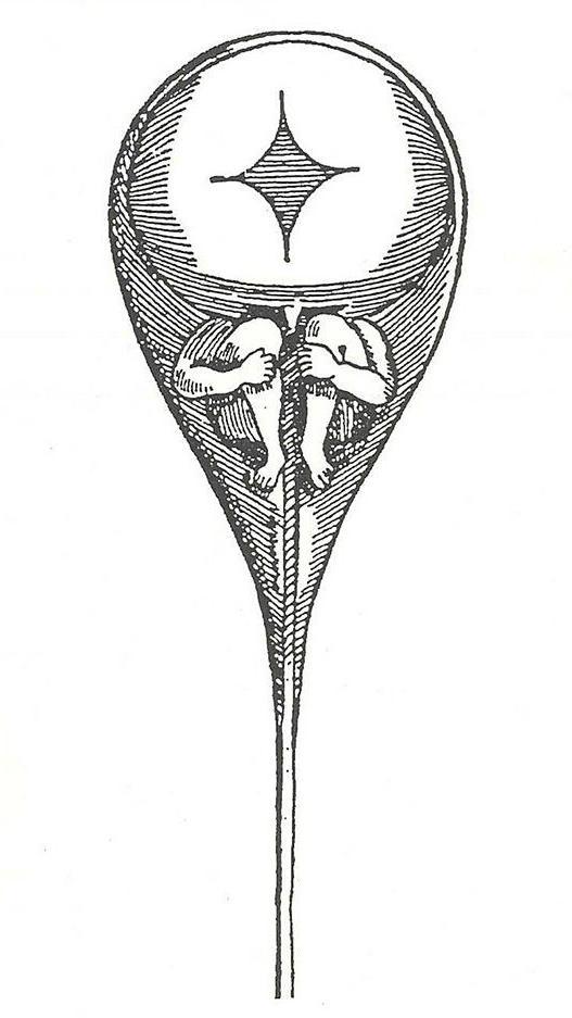 Ilustração antiga de um corpo humano no interior de um espermatozoide