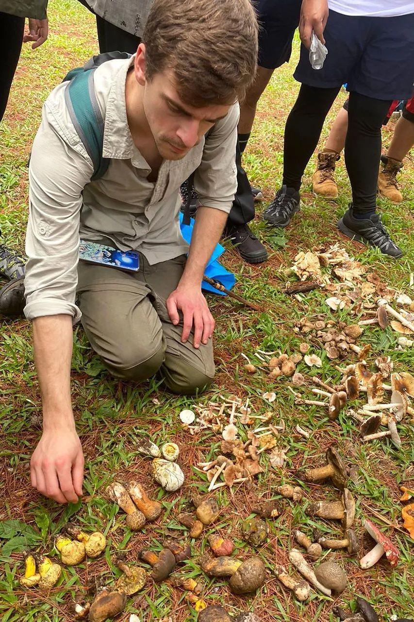 Um homem com camiseta cinza clara e cal&ccedil;as verdes agacha sobre a grama, com uma fileira de cogumelos dispostos no ch&atilde;o &agrave; sua frente