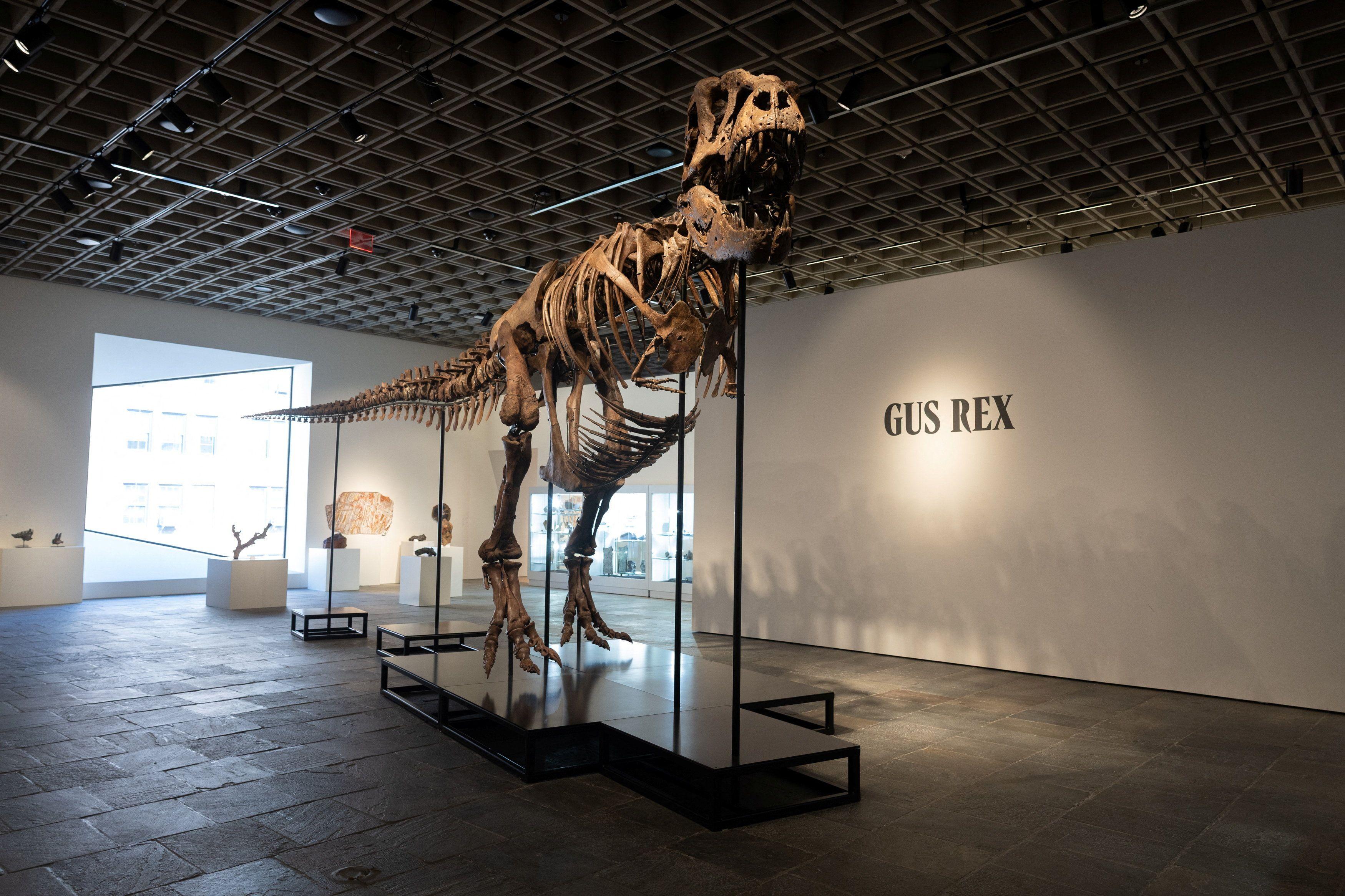 dinosaurus