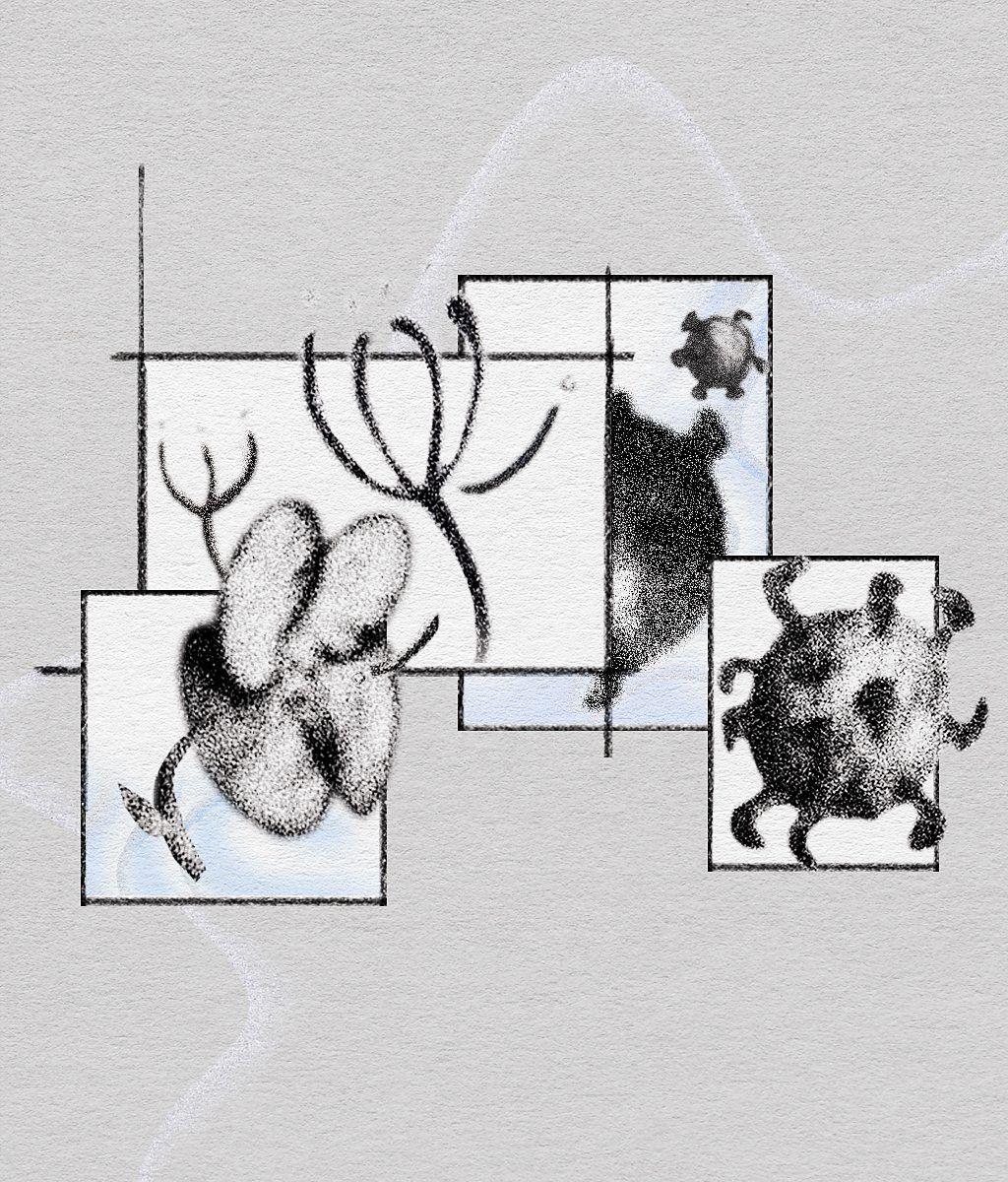 有過敏症的人可能會經歷更多呼吸道感染，因為他們的黏膜更容易發炎。