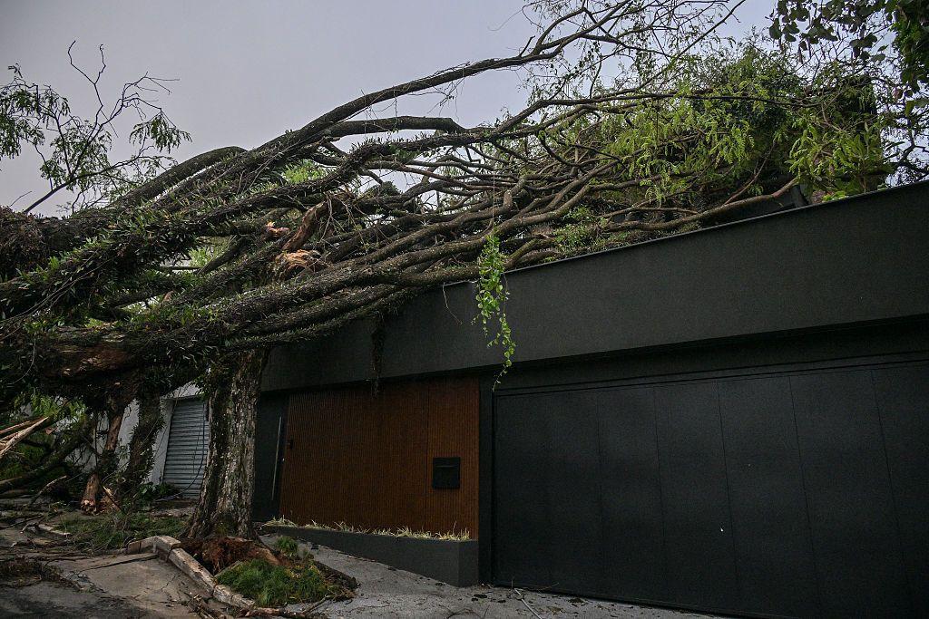 Casa atingida por árvore após fortes chuvas em São Paulo, em 23 de setembro de 2025.