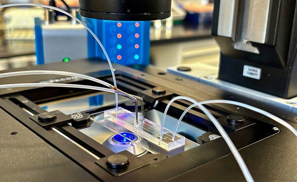 Dispositivo microfluídico transparente con tubos conectado sobre la platina de un microscopio en un laboratorio.