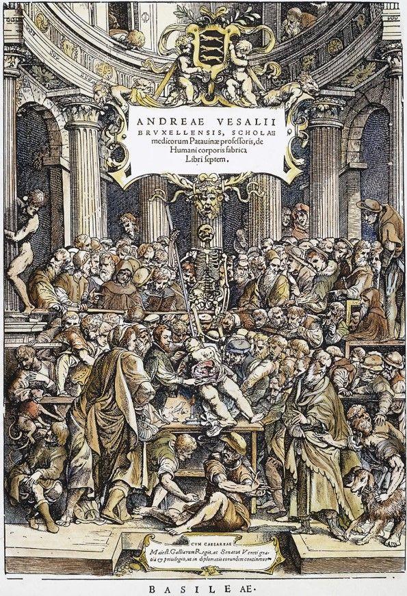 Ilustrovana naslovna stranica anatomskog udžbenika iz 1543. godine