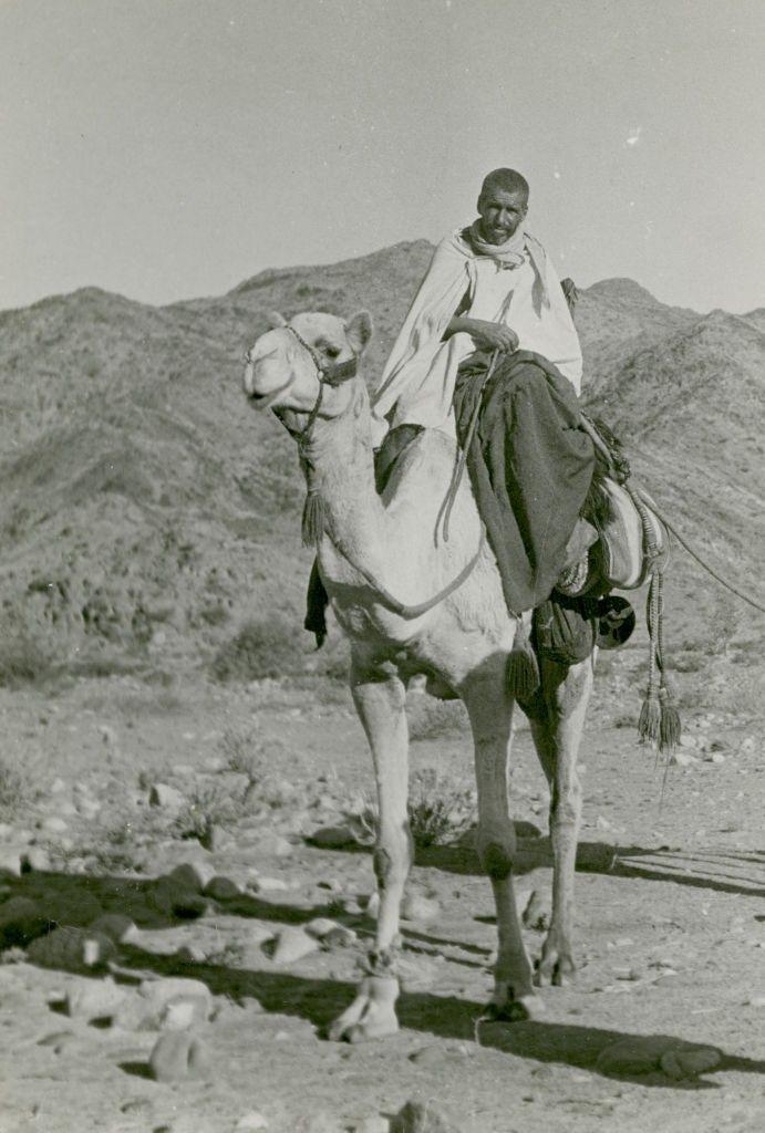 التُقطت الصورة حوالي عام 1934-1940 في السعودية