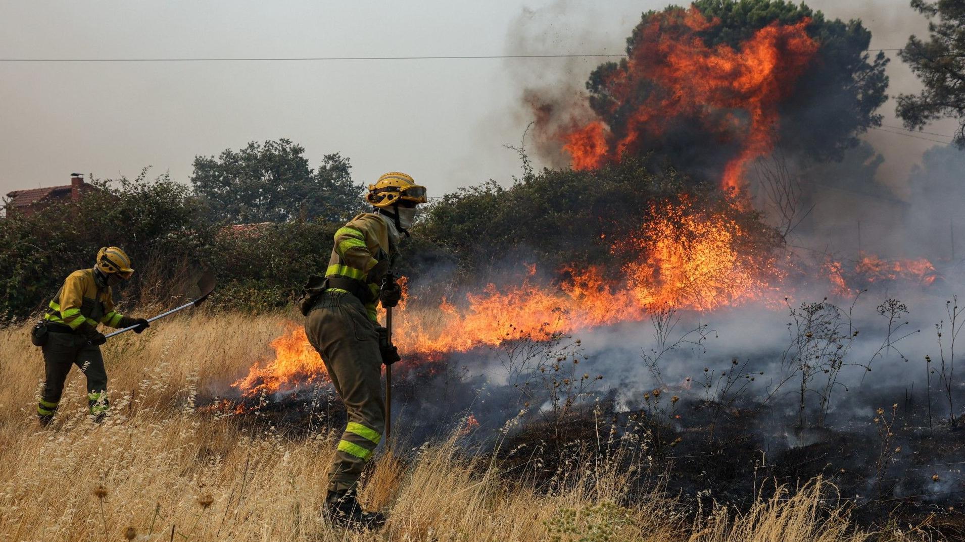 Wildfires near Madrid 'impossible to control', official says, as 65,000 evacuated in France and Spain