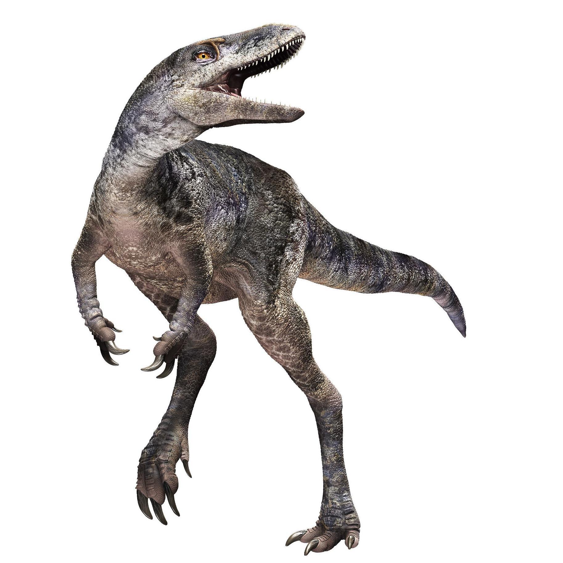 Crtež hanhulu mongolinezisa, novootkrivenog pretka tiranosaurusa