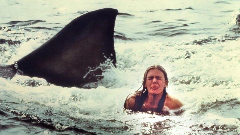 Uma mulher no mar e a barbatana de um tubarão atrás dela