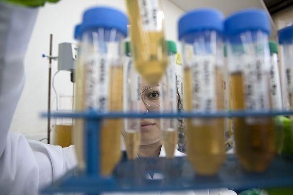 Urine testing