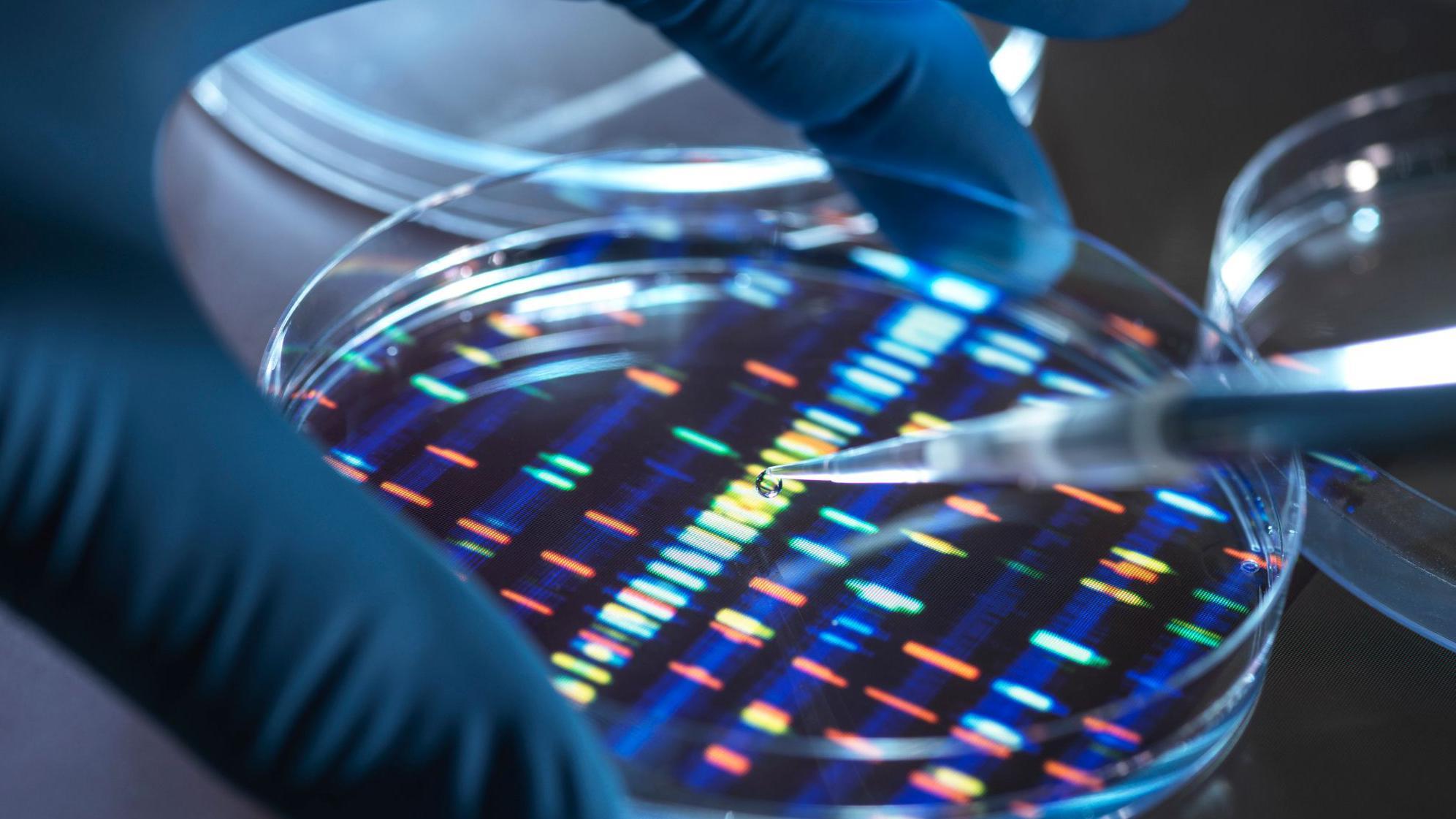 Cientista usando uma pipeta para pingar amostra em placa para teste de DNA em laboratório