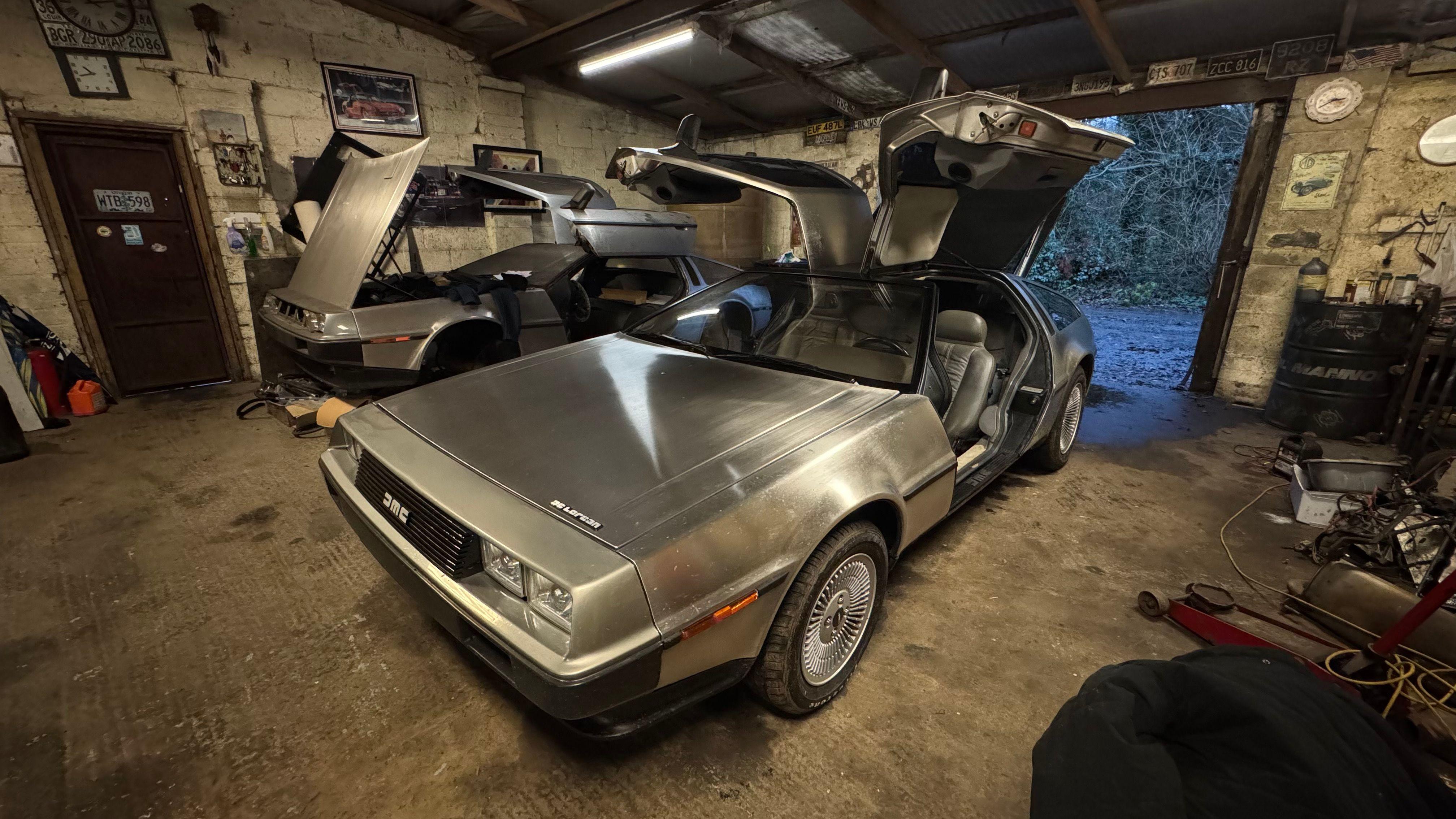 Moj prijatelj Henri crvendać: Kako je ptičica postala svetski popularna 3 automehaničarska radionica