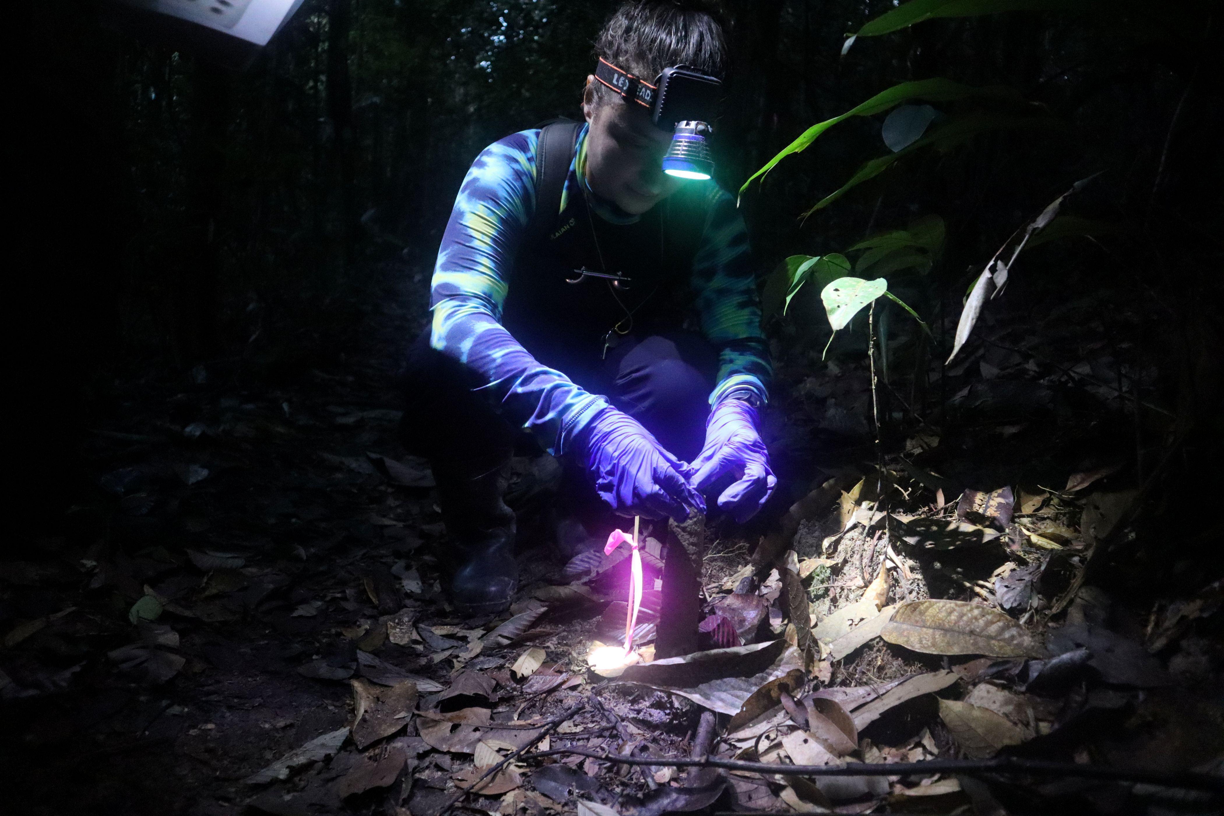 Uma mulher com uma lanterna presa na cabeça enquanto coloca camisinha em uma torre de argila