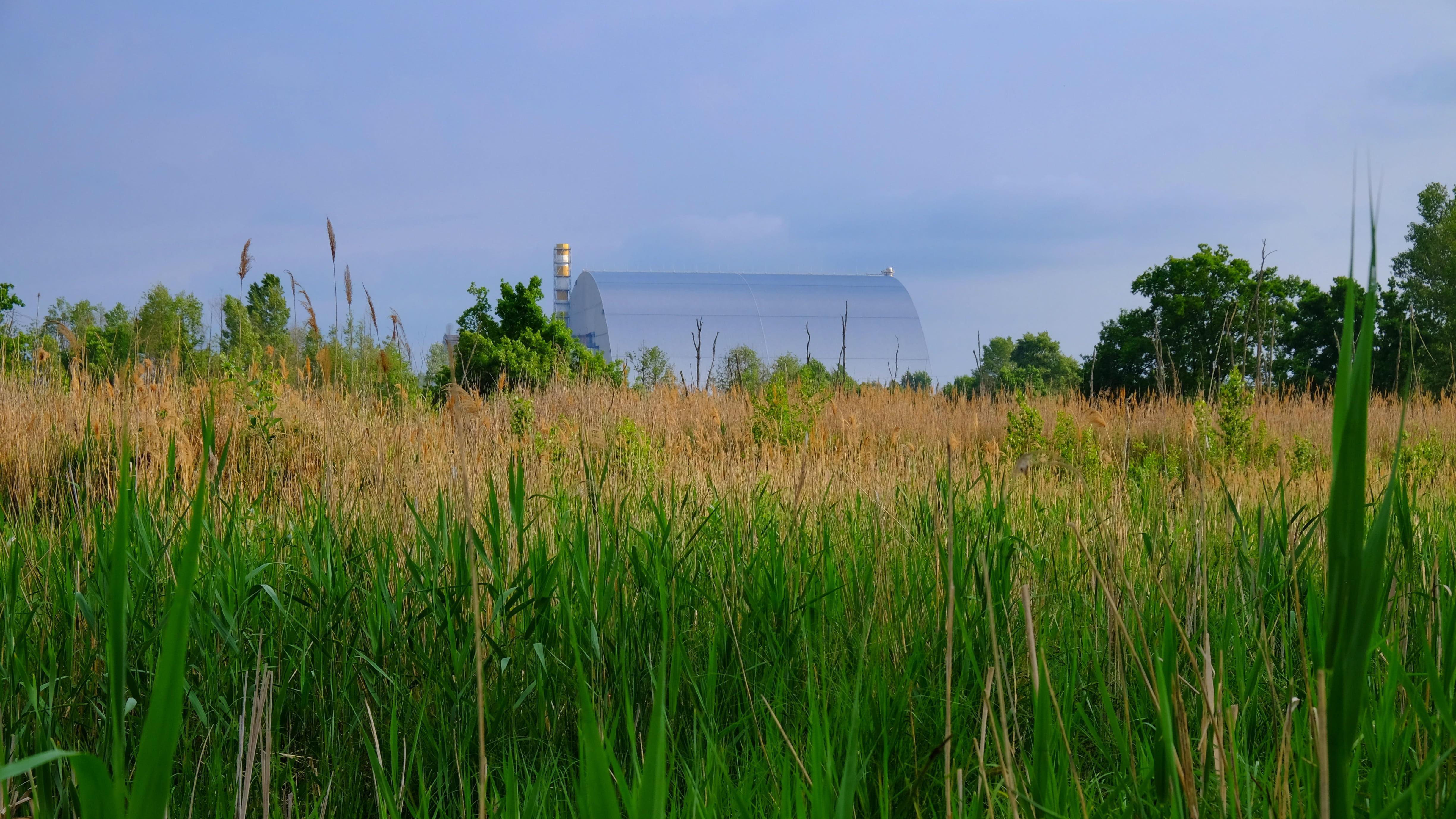 一片綠意盎然的草地，邊緣排列著樹木；背景可見切爾諾貝利核電廠的一部分，外部覆蓋著銀色的安全圍封結構