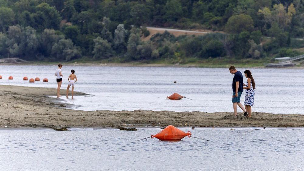 dunav, nizak vodostaj dunava, dunav kod novog sada