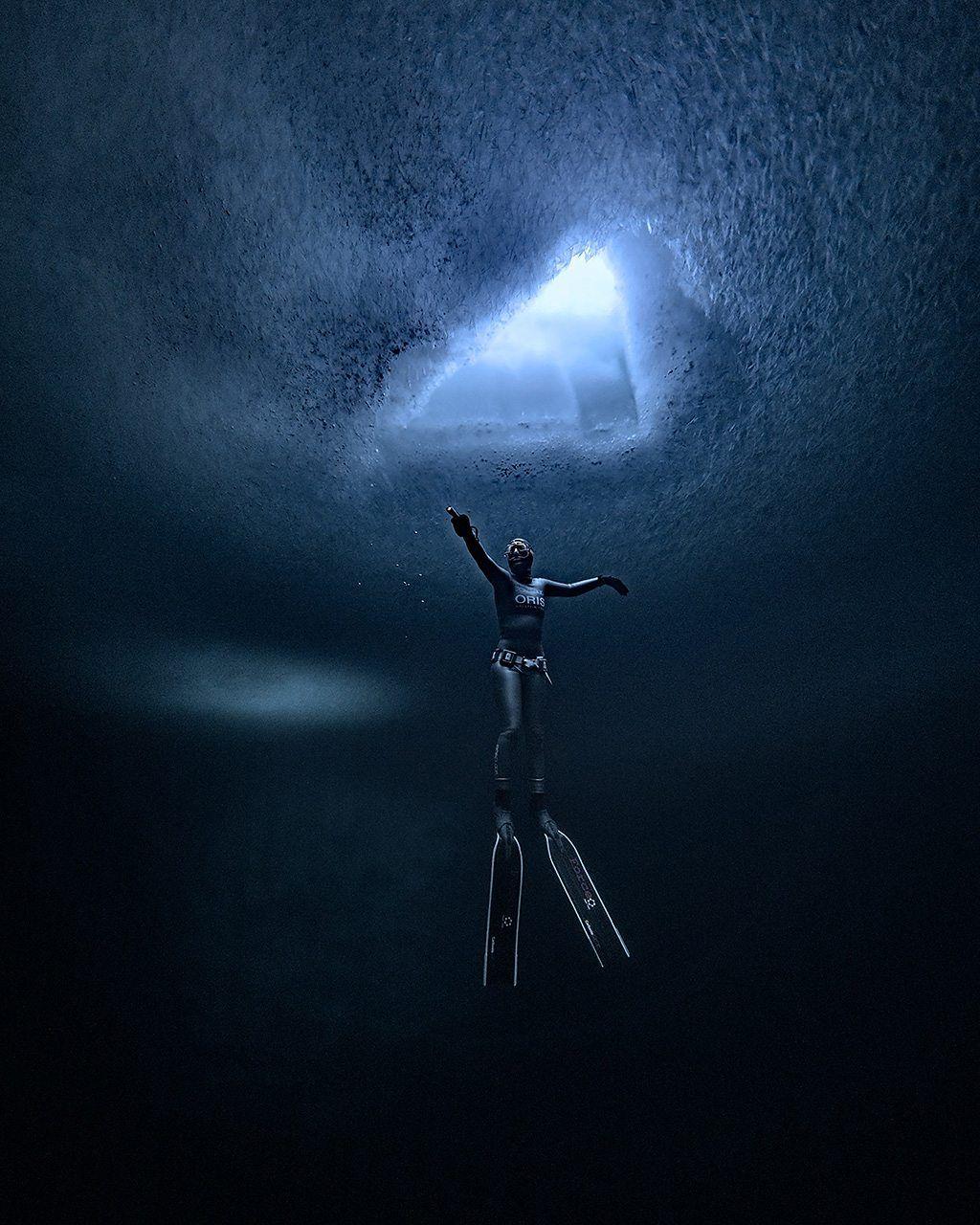 Foto de cadáveres de ballenas bajo el mar