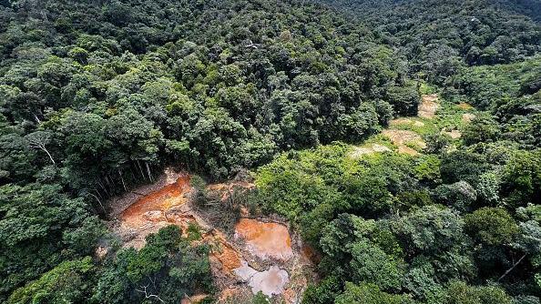 Trecho de floresta degradada pelo garimpo