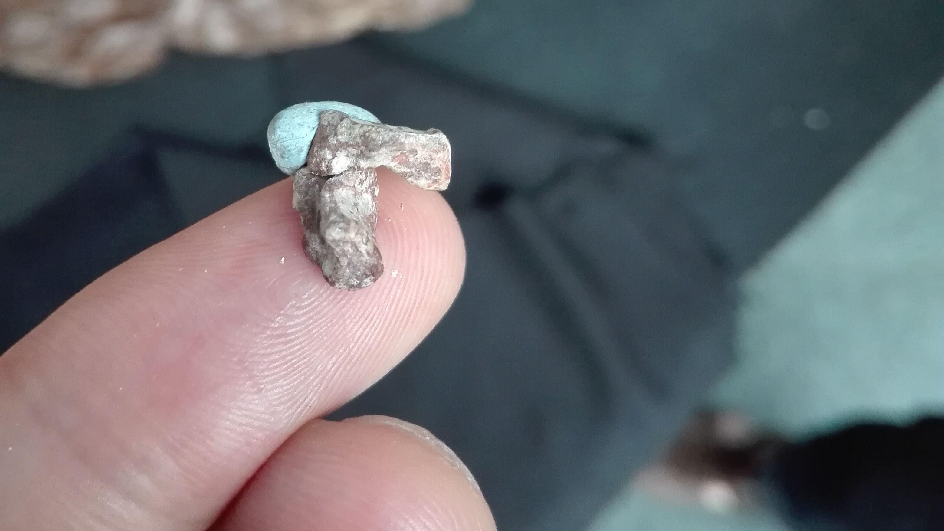 Una fotografía de primer plano de dos pequeños huesos apoyados sobre la punta de un dedo.