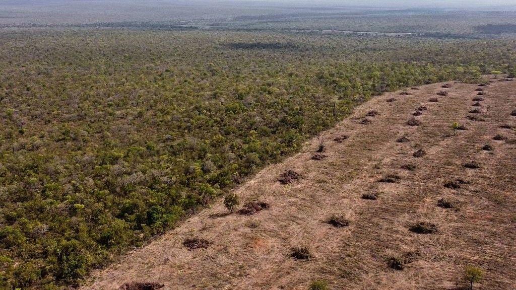 Desmatamento no Cerrado
