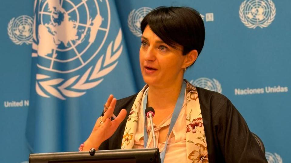 Gabriella Citroni, presidente do Grupo de Trabalho sobre Detenções Forçadas da ONU, durante entrevista coletiva