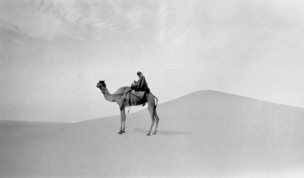 رجل عربي وحيد على جمله في صحراء شبه الجزيرة العربية عام 1930
