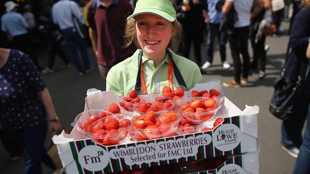 Vendedora oferece morangos aos espectadores em Wimbledon